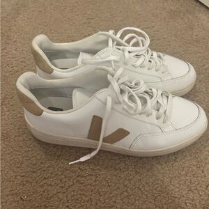 Vega White Sable V-12